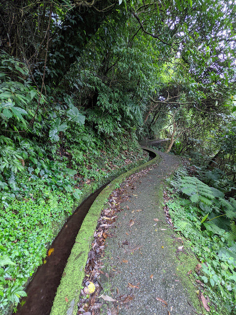 新北市石門區 青山瀑布步道 與青翠森林和沁涼溪水相伴而行