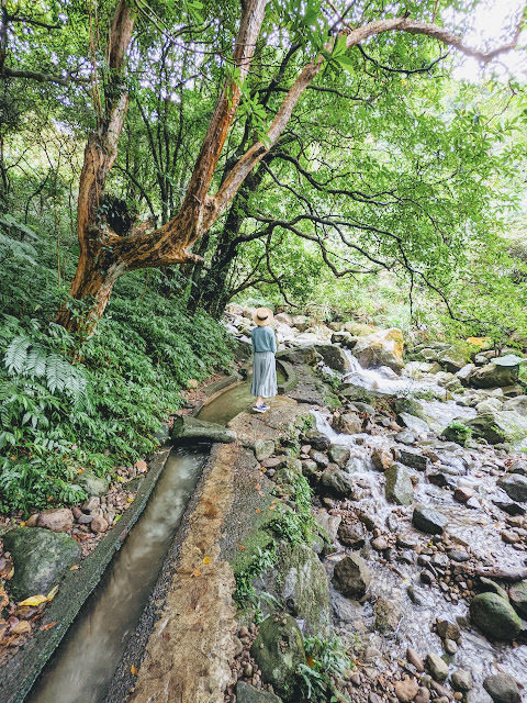新北市石門區 青山瀑布步道 與青翠森林和沁涼溪水相伴而行