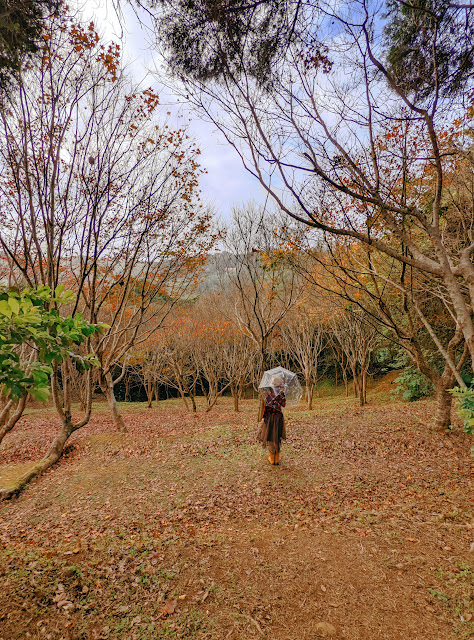 桃園 復興區: 遠眺溪谷與群山的開闊風景 角板山行館