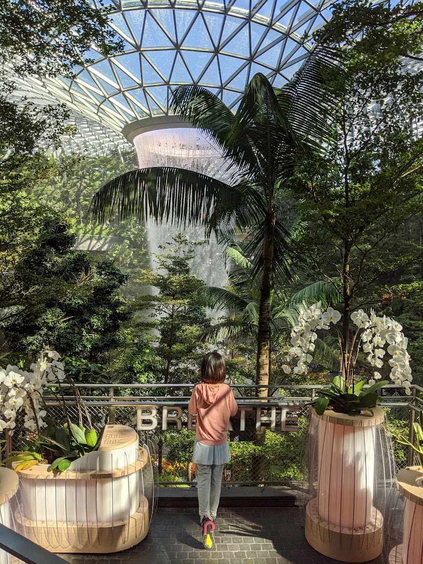 星耀樟宜 Crowne Plaza Changi Airport 樟宜機場皇冠假日酒店:整座機場 都是我的度假村 - 第3張圖 星耀樟宜 Crowne Plaza Changi Airport 樟宜機場皇冠假日酒店:整座機場 都是我的度假村