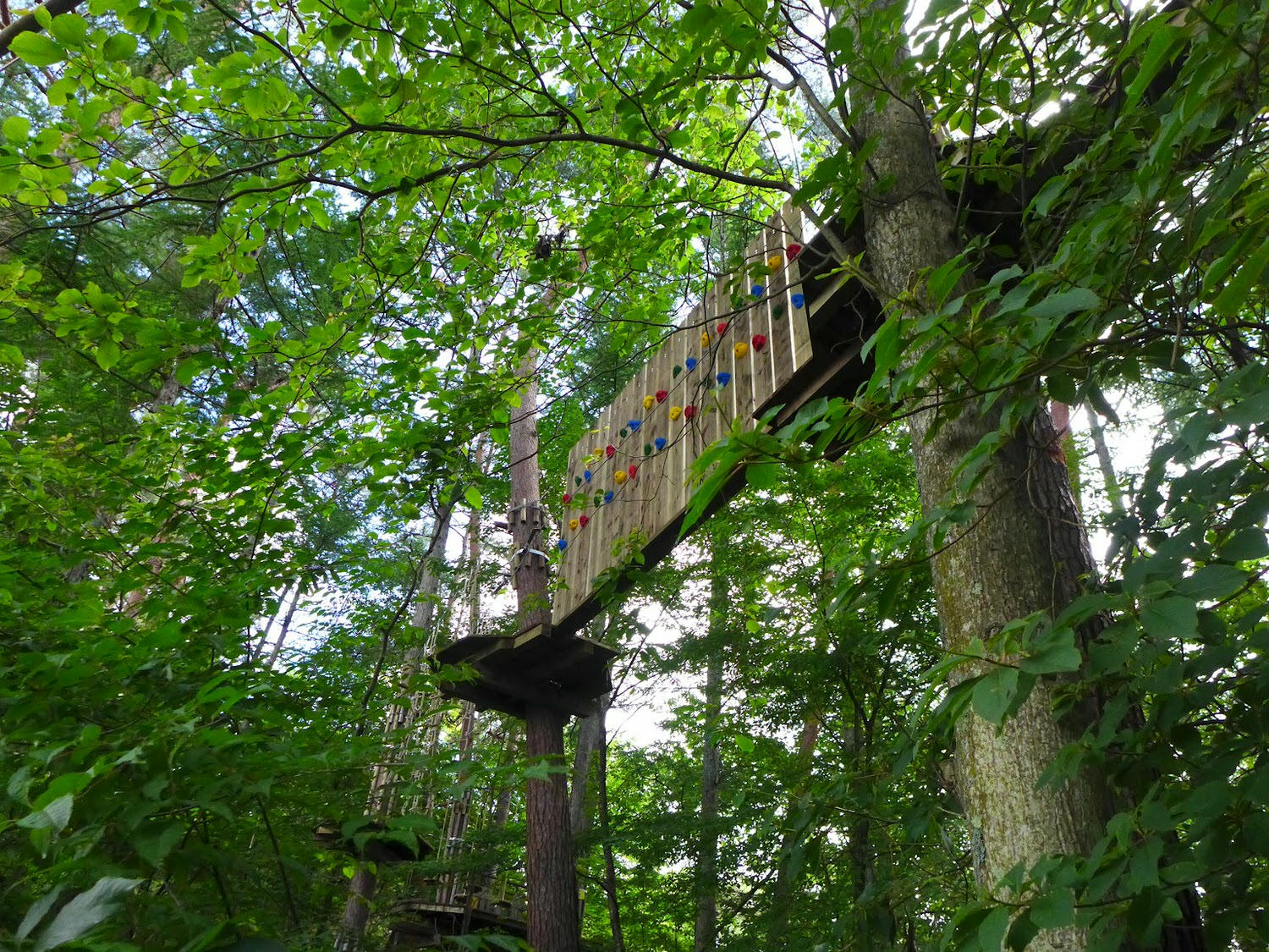 星野 山梨八岳度假村 リゾート リゾナーレ八ヶ岳 Hoshino Resorts RISONARE Yatsugatake 深具藝術感的渡假村 - 第36張圖 星野 山梨八岳度假村 リゾート リゾナーレ八ヶ岳 Hoshino Resorts RISONARE Yatsugatake 深具藝術感的渡假村