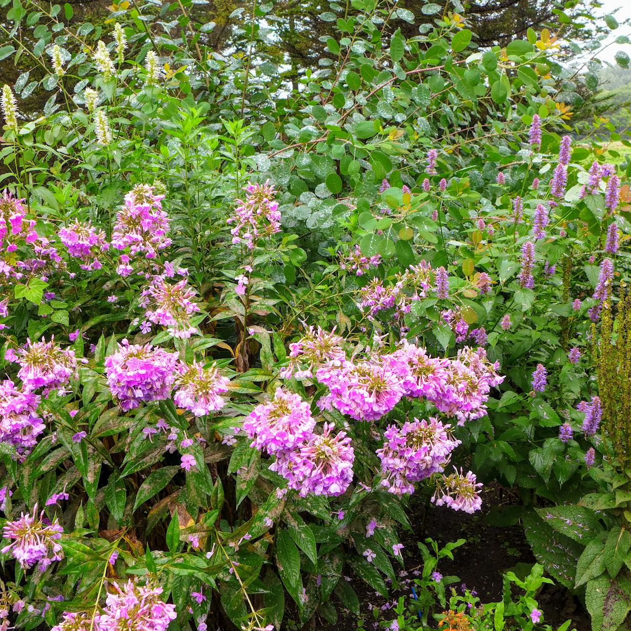 北海道 約克夏農場酒店 Yorkshire Farm (ヨークシャーファーム) 可愛的羊咩咩、漂亮的花園,和溫馨的房間 - 第24張圖 北海道 約克夏農場酒店 Yorkshire Farm (ヨークシャーファーム) 可愛的羊咩咩、漂亮的花園,和溫馨的房間