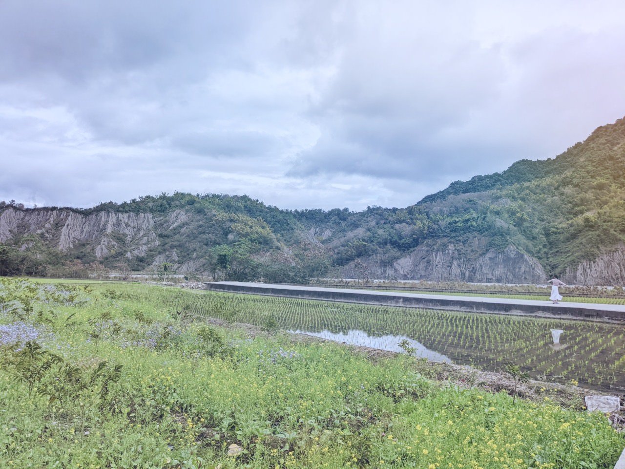 台東 關山親水公園、鹿野鄉公所、后湖稻田 尋訪縱谷大地藝術季作品