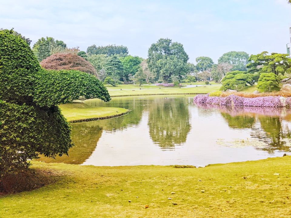 彰化 成美文化園 夢幻落羽松與優美庭園