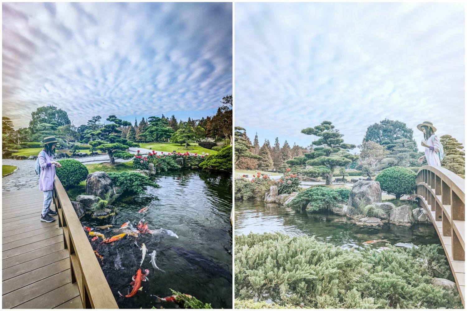 彰化 成美文化園 夢幻落羽松與優美庭園