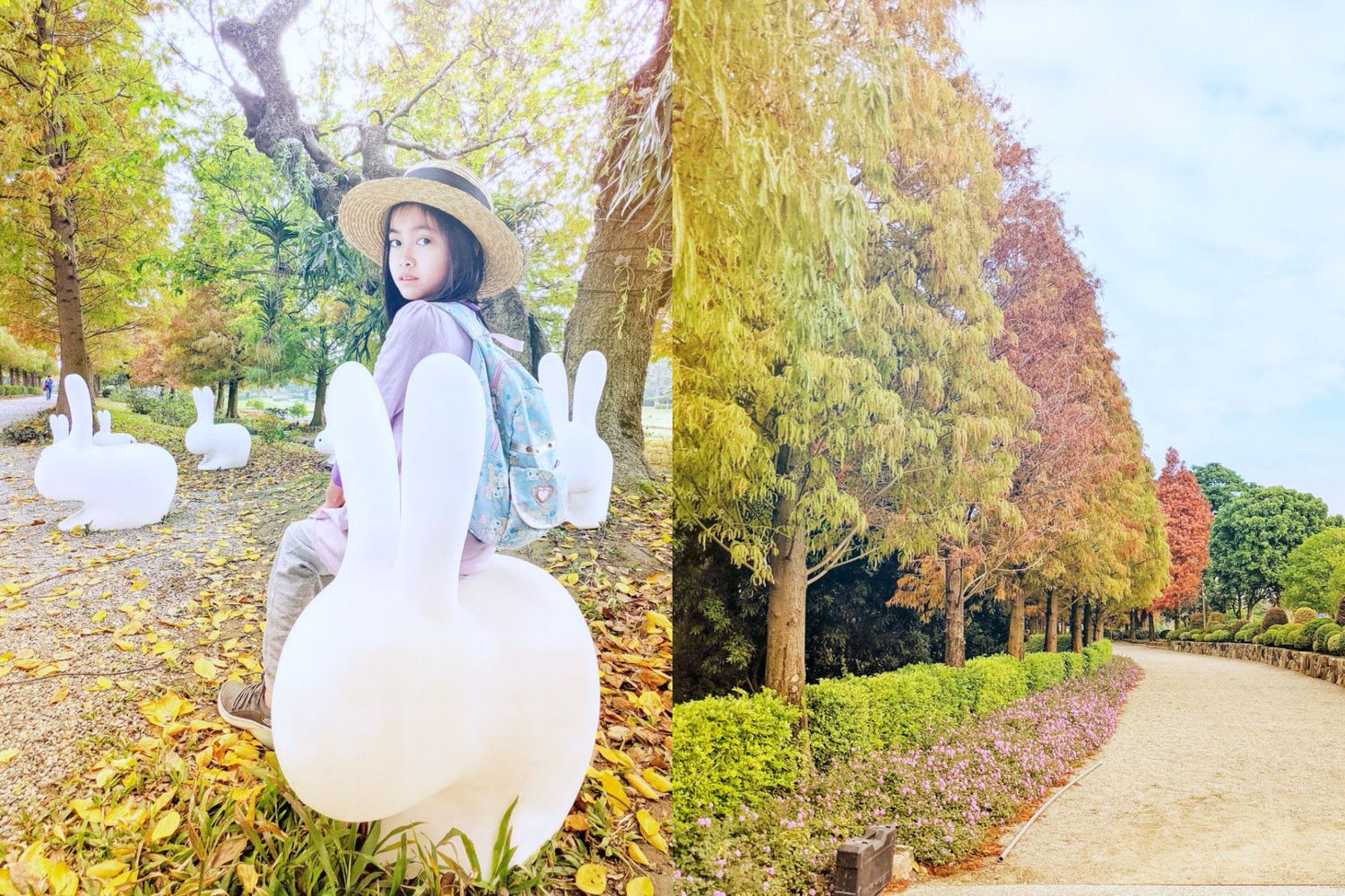 彰化 成美文化園 夢幻落羽松與優美庭園