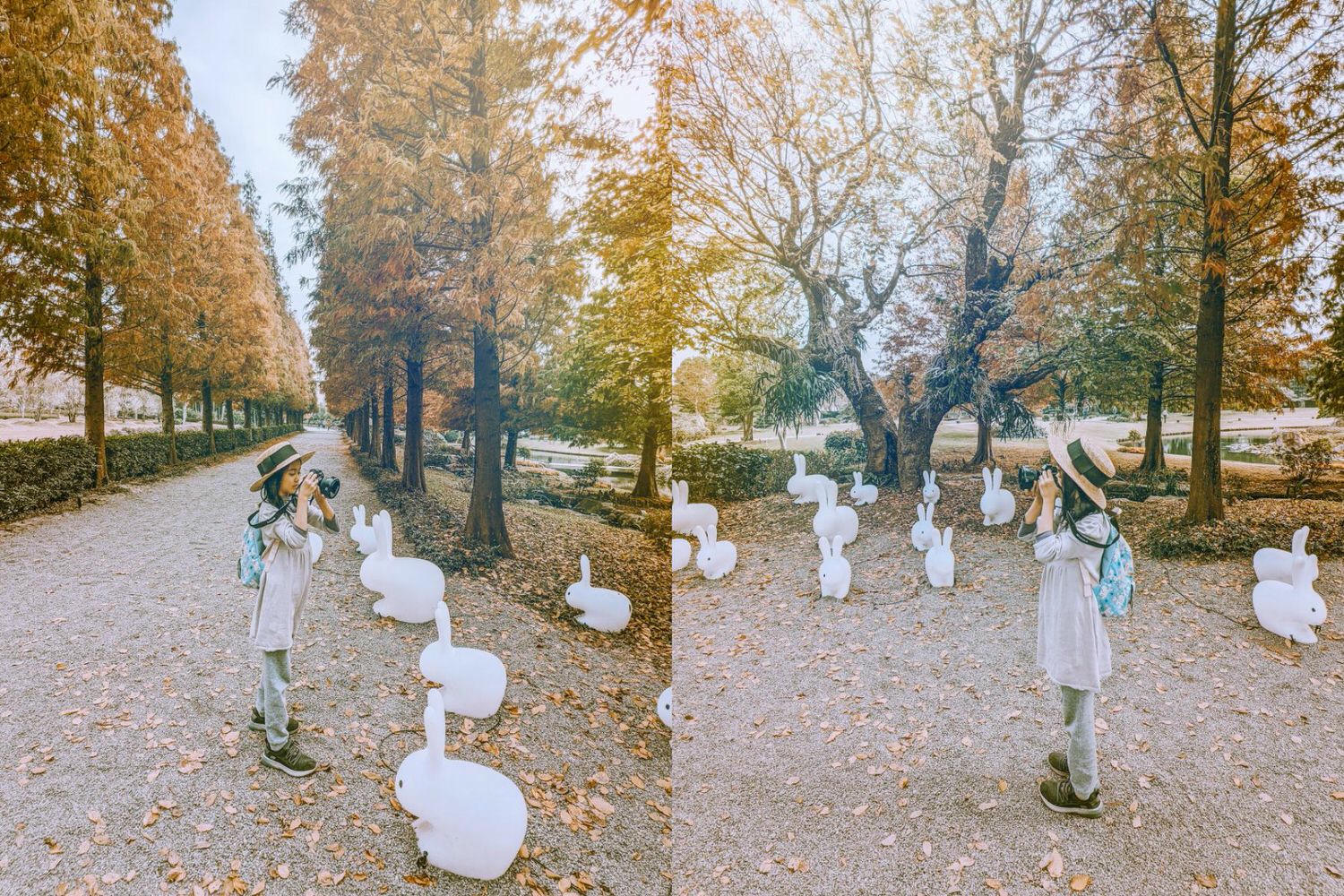 彰化 成美文化園 夢幻落羽松與優美庭園