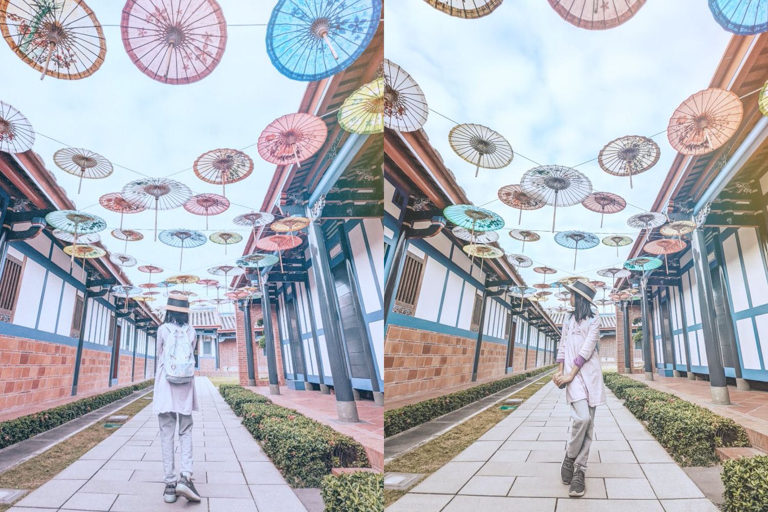 彰化 成美文化園 夢幻落羽松與優美庭園