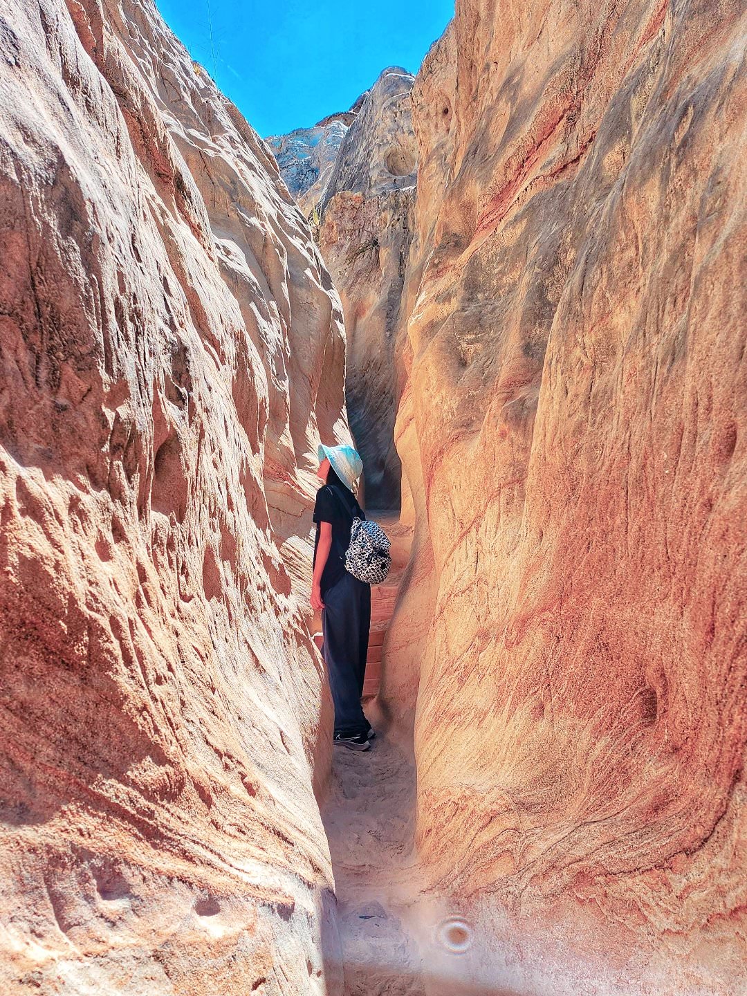 聖地牙哥景點 Annie’s Canyon Trail 。偽羚羊峽谷秘境, 登頂俯瞰潟湖美景 - 第10張圖 聖地牙哥景點 Annie’s Canyon Trail 。偽羚羊峽谷秘境, 登頂俯瞰潟湖美景