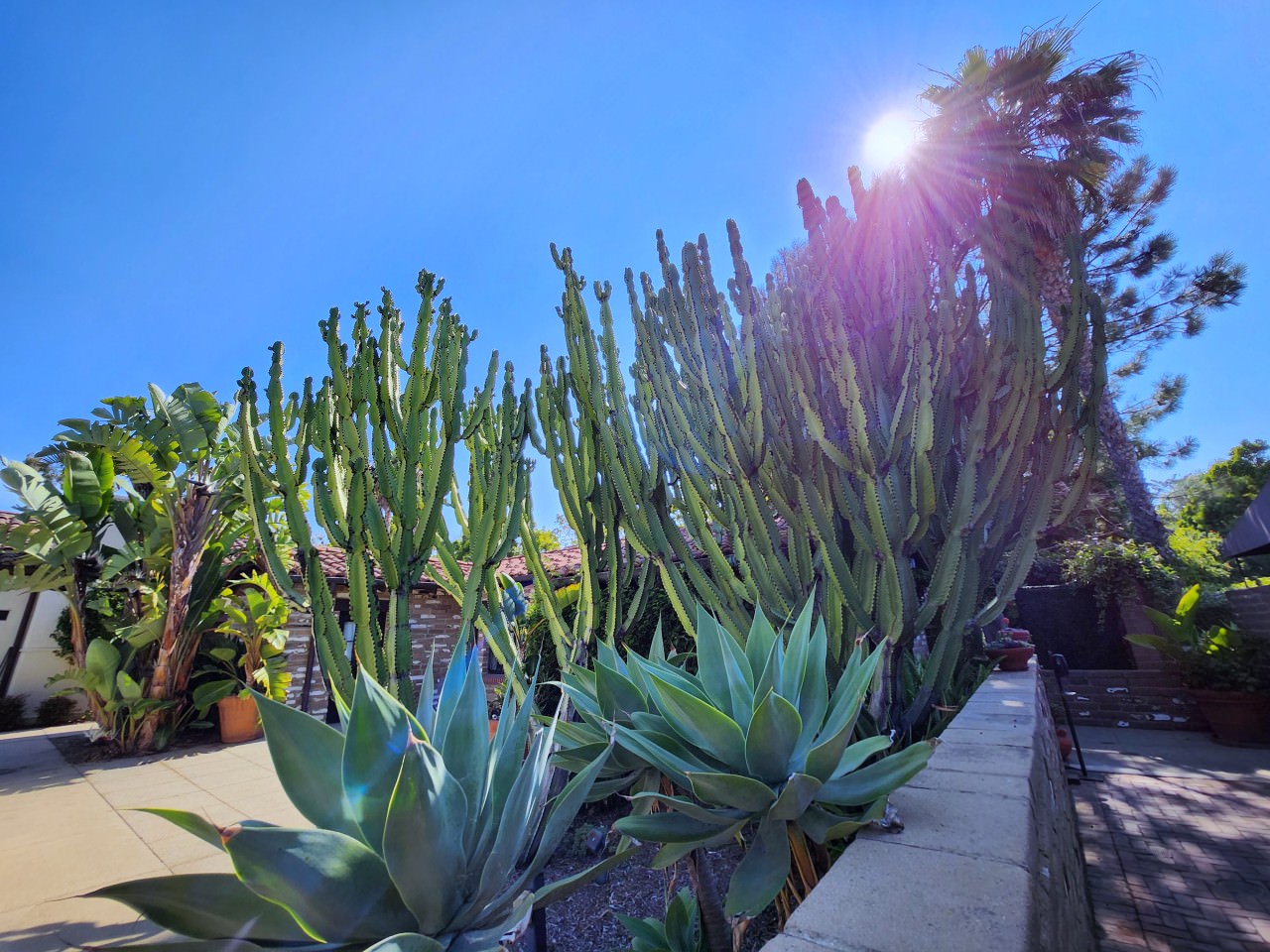 聖地牙哥 拉霍亞埃斯坦守Spa酒店 Estancia La Jolla Hotel & Spa 。花園和泳池都很美, 但是房間隔音不佳, 十分可惜的漂亮旅店 - 第19張圖 拉霍亞埃斯坦守Spa酒店 Estancia La Jolla Hotel & Spa
