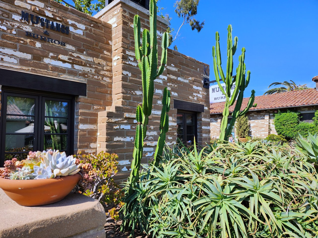 聖地牙哥 拉霍亞埃斯坦守Spa酒店 Estancia La Jolla Hotel & Spa 。花園和泳池都很美, 但是房間隔音不佳, 十分可惜的漂亮旅店 - 第21張圖 聖地牙哥 拉霍亞埃斯坦守Spa酒店 Estancia La Jolla Hotel & Spa 。花園和泳池都很美, 但是房間隔音不佳, 十分可惜的漂亮旅店