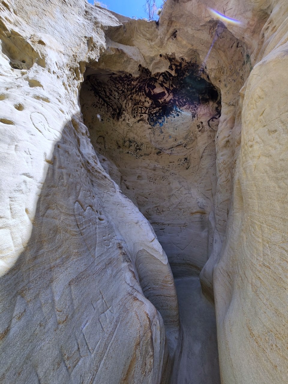 聖地牙哥景點 Annie’s Canyon Trail 。偽羚羊峽谷秘境, 登頂俯瞰潟湖美景 - 第12張圖 聖地牙哥景點 Annie’s Canyon Trail 。偽羚羊峽谷秘境, 登頂俯瞰潟湖美景