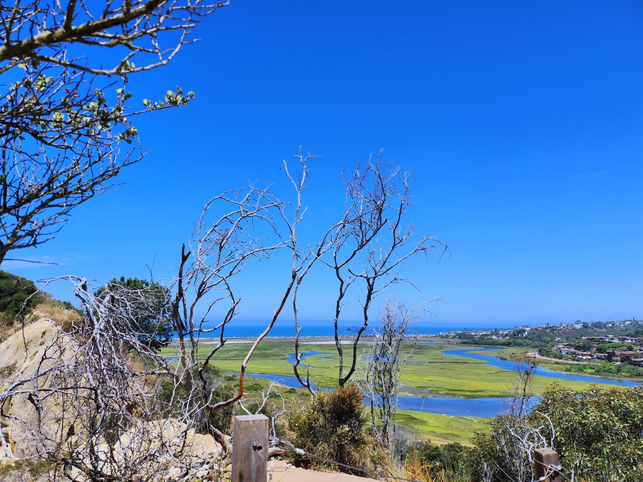 聖地牙哥景點 Annie’s Canyon Trail 。偽羚羊峽谷秘境, 登頂俯瞰潟湖美景 - 第17張圖 聖地牙哥景點 Annie’s Canyon Trail 。偽羚羊峽谷秘境, 登頂俯瞰潟湖美景