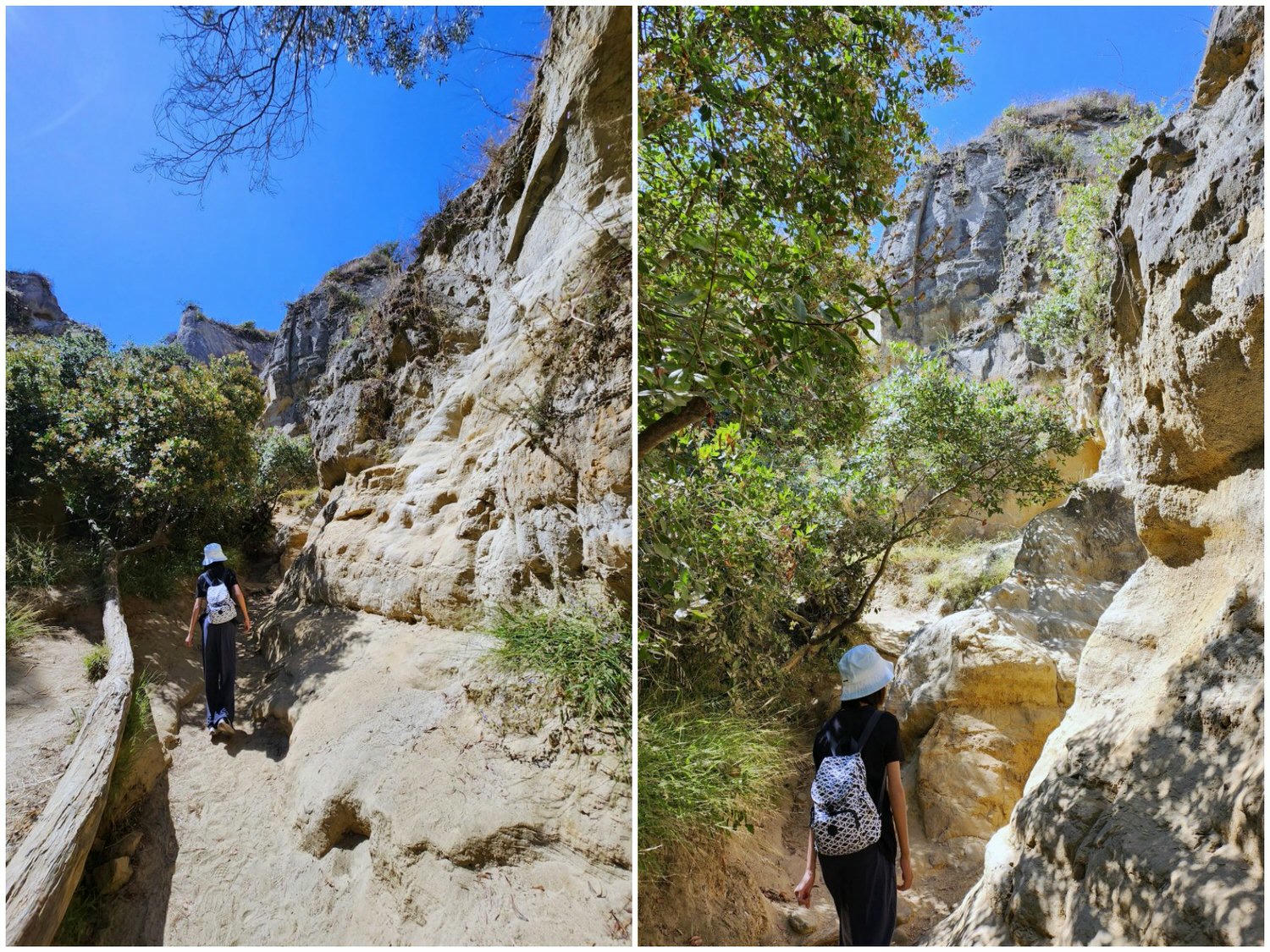 聖地牙哥景點 Annie’s Canyon Trail 。偽羚羊峽谷秘境, 登頂俯瞰潟湖美景 - 第8張圖 聖地牙哥景點 Annie’s Canyon Trail 。偽羚羊峽谷秘境, 登頂俯瞰潟湖美景