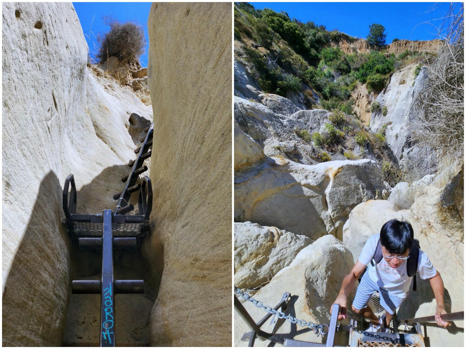 聖地牙哥景點 Annie’s Canyon Trail 。偽羚羊峽谷秘境, 登頂俯瞰潟湖美景 - 第13張圖 聖地牙哥景點 Annie’s Canyon Trail 。偽羚羊峽谷秘境, 登頂俯瞰潟湖美景