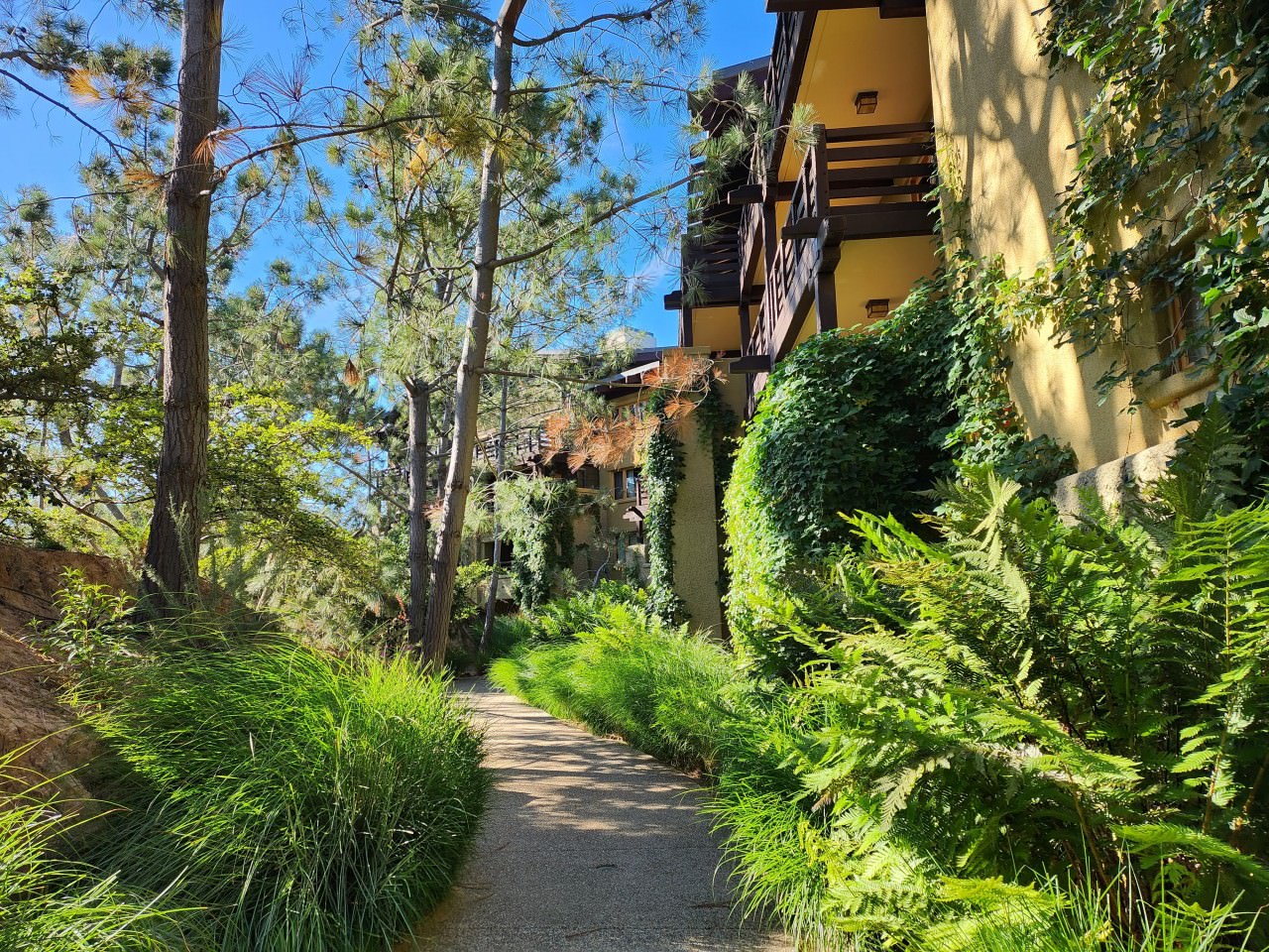 聖地牙哥 托利潘度假酒店 The Lodge at Torrey Pines 緊鄰保護區和高爾夫球場的高級旅店 - 第36張圖 聖地牙哥 托利潘度假酒店 The Lodge at Torrey Pines 緊鄰保護區和高爾夫球場的高級旅店