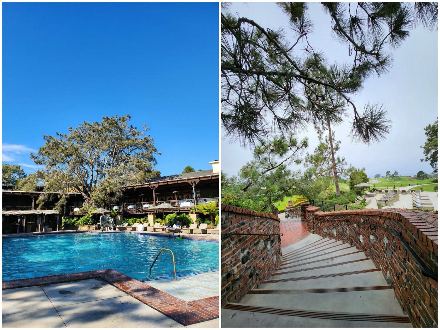 聖地牙哥 托利潘度假酒店 The Lodge at Torrey Pines 緊鄰保護區和高爾夫球場的高級旅店 - 第47張圖 聖地牙哥 托利潘度假酒店 The Lodge at Torrey Pines 緊鄰保護區和高爾夫球場的高級旅店