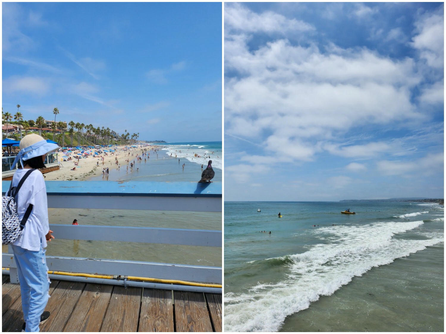 南加州 聖克萊門特碼頭 San Clemente Pier 伸入海中的木棧道和連綿的沙灘 - 第12張圖 南加州 聖克萊門特碼頭 San Clemente Pier 伸入海中的木棧道和連綿的沙灘