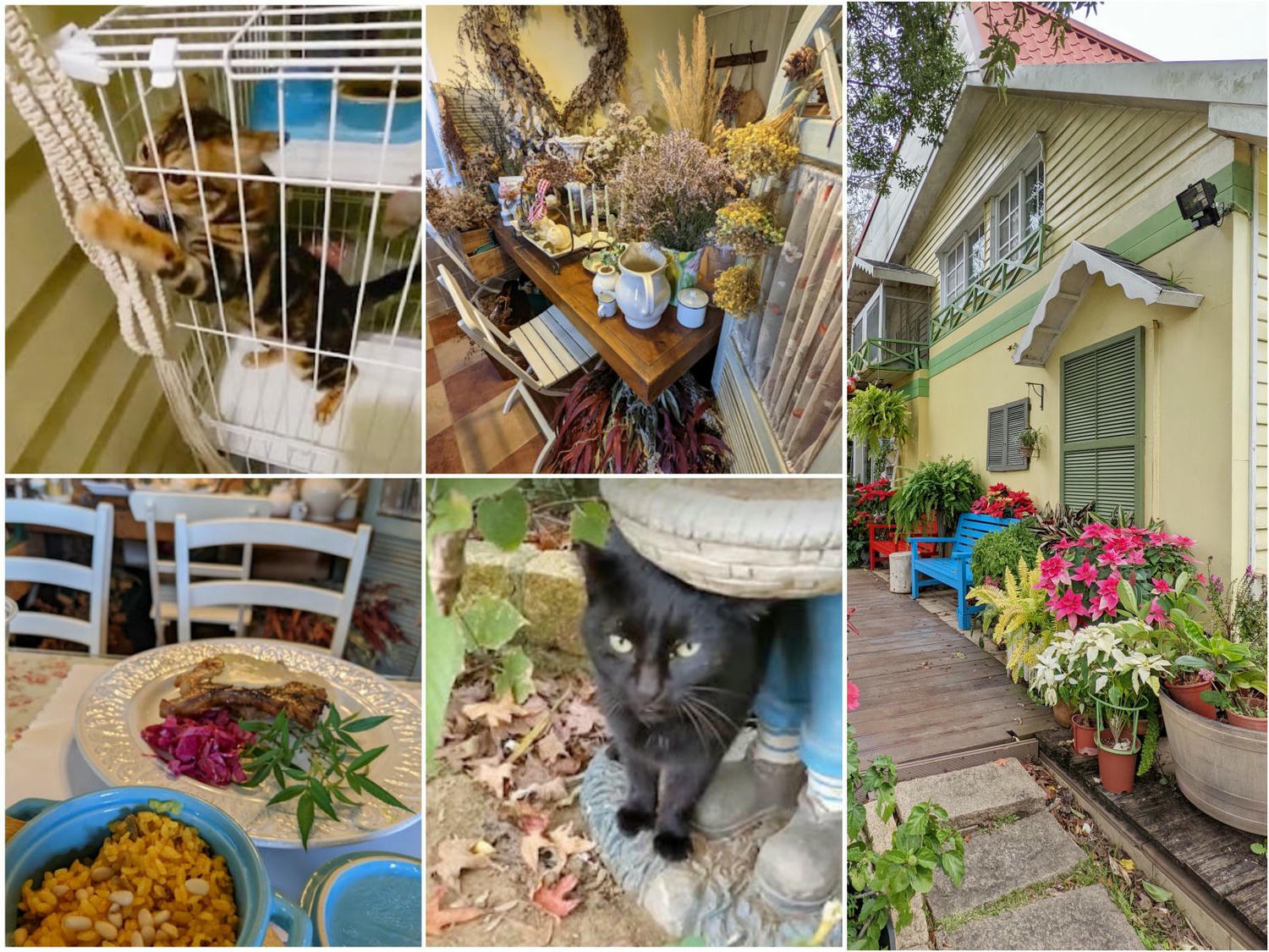 桃園復興區 普拉多山丘假期餐廳民宿 山中的歐風童話小屋