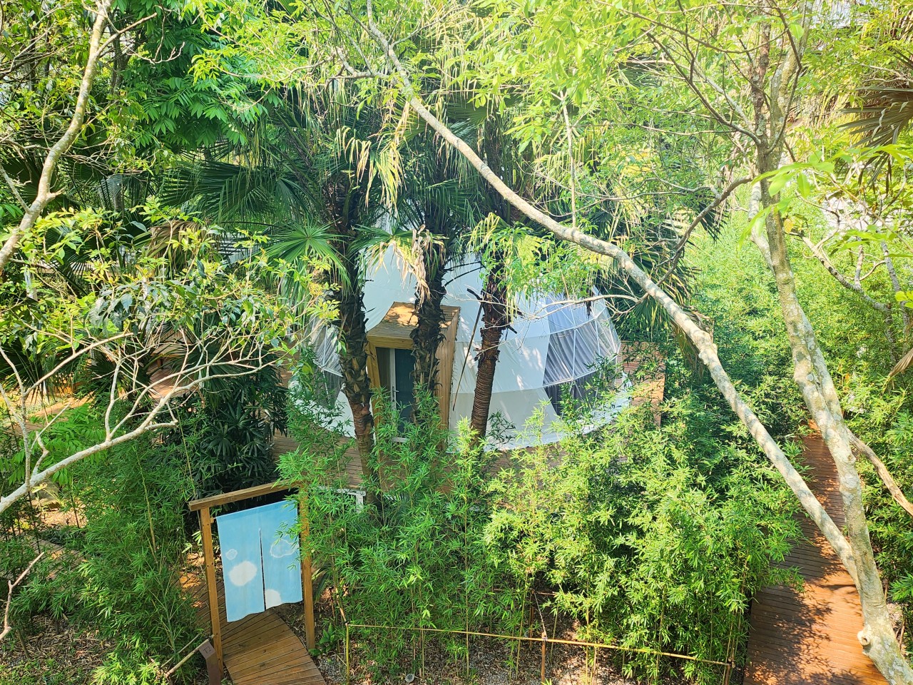 苗栗 豪華露營 山野森活。入住擁有帳內獨立衛浴的頂級球型帳篷。 環境與設施篇 - 第14張圖 苗栗 豪華露營 山野森活。入住擁有帳內獨立衛浴的頂級球型帳篷。 環境與設施篇