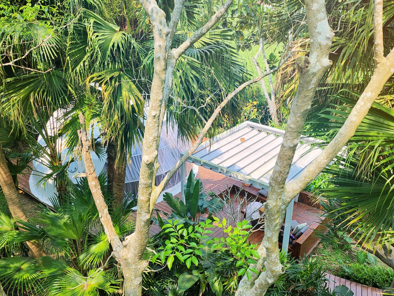 苗栗 豪華露營 山野森活。入住擁有帳內獨立衛浴的頂級球型帳篷。 環境與設施篇 - 第15張圖 苗栗 豪華露營 山野森活。入住擁有帳內獨立衛浴的頂級球型帳篷。 環境與設施篇