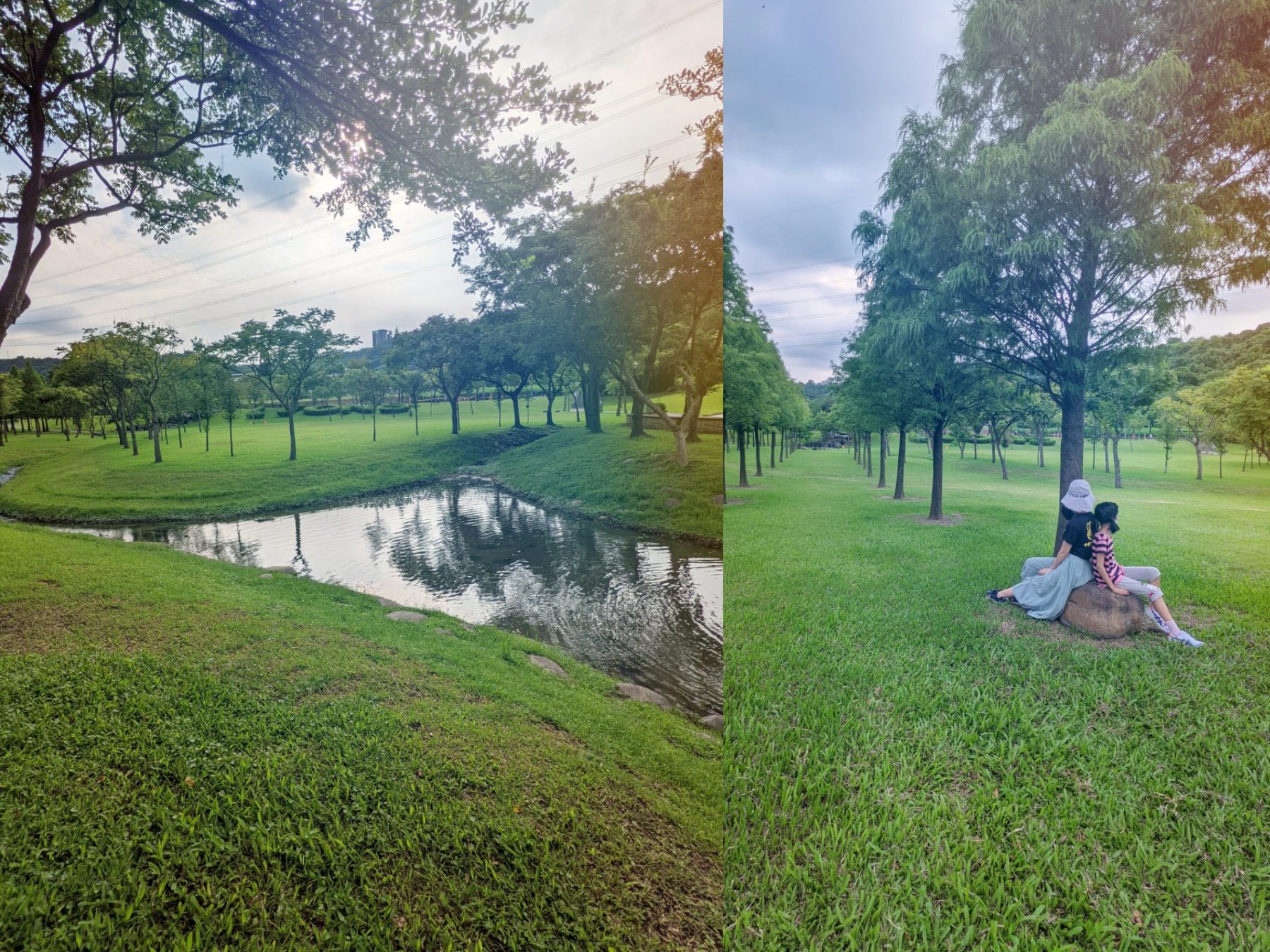 桃園 大溪河濱公園。 美麗廣闊草坪、落羽松林 和有趣的遊戲場。