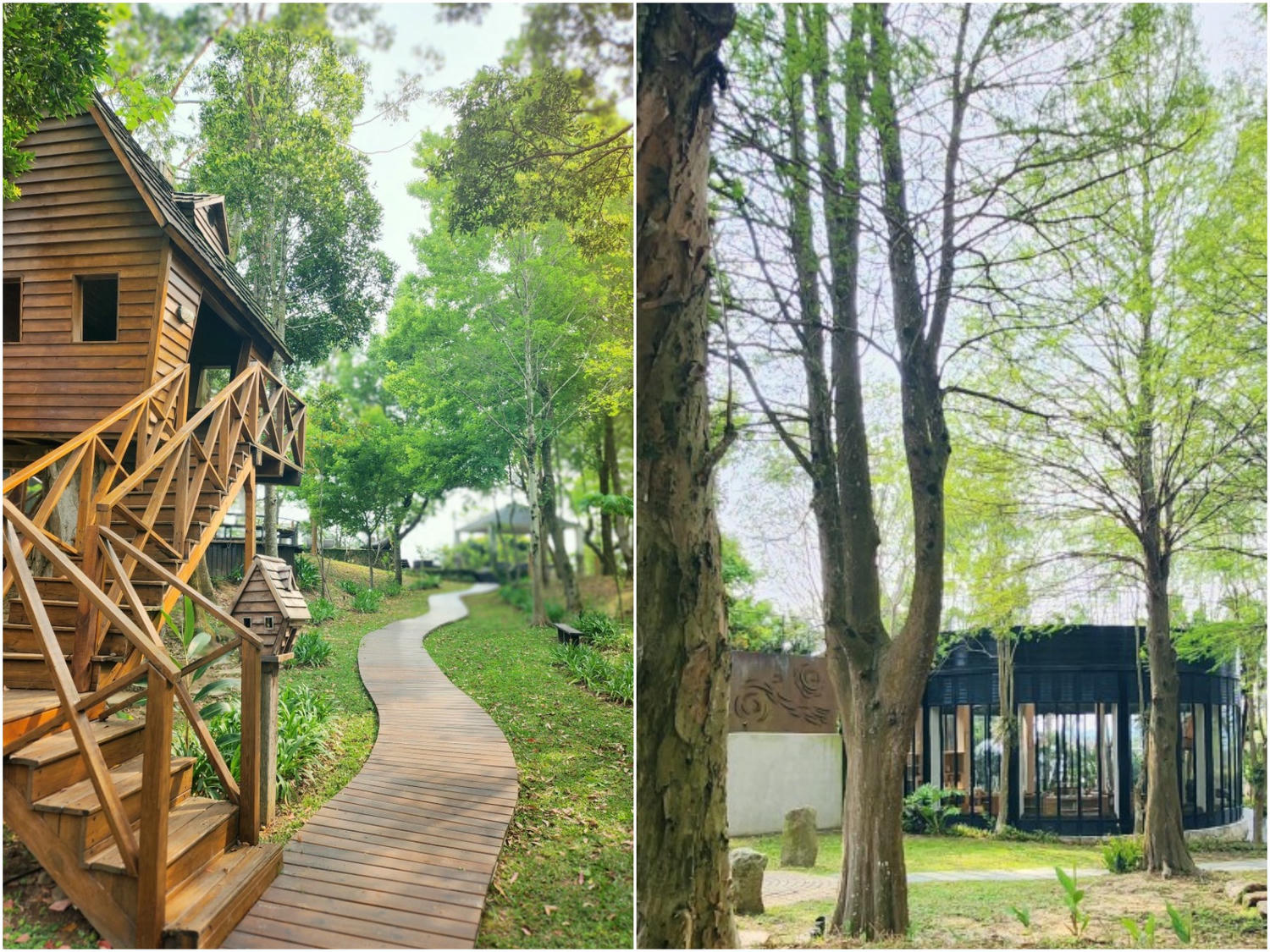 苗栗 豪華露營 山野森活。入住擁有帳內獨立衛浴的頂級球型帳篷。 環境與設施篇 - 第5張圖 苗栗 豪華露營 山野森活。入住擁有帳內獨立衛浴的頂級球型帳篷。 環境與設施篇