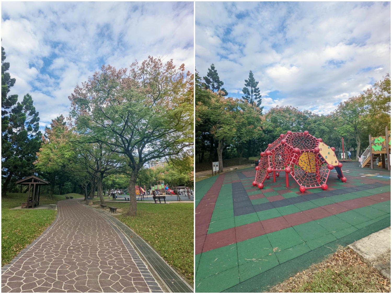 桃園大溪埔頂公園。 綠草山丘、台灣欒樹、落羽松、溜索、沙坑、遊具。