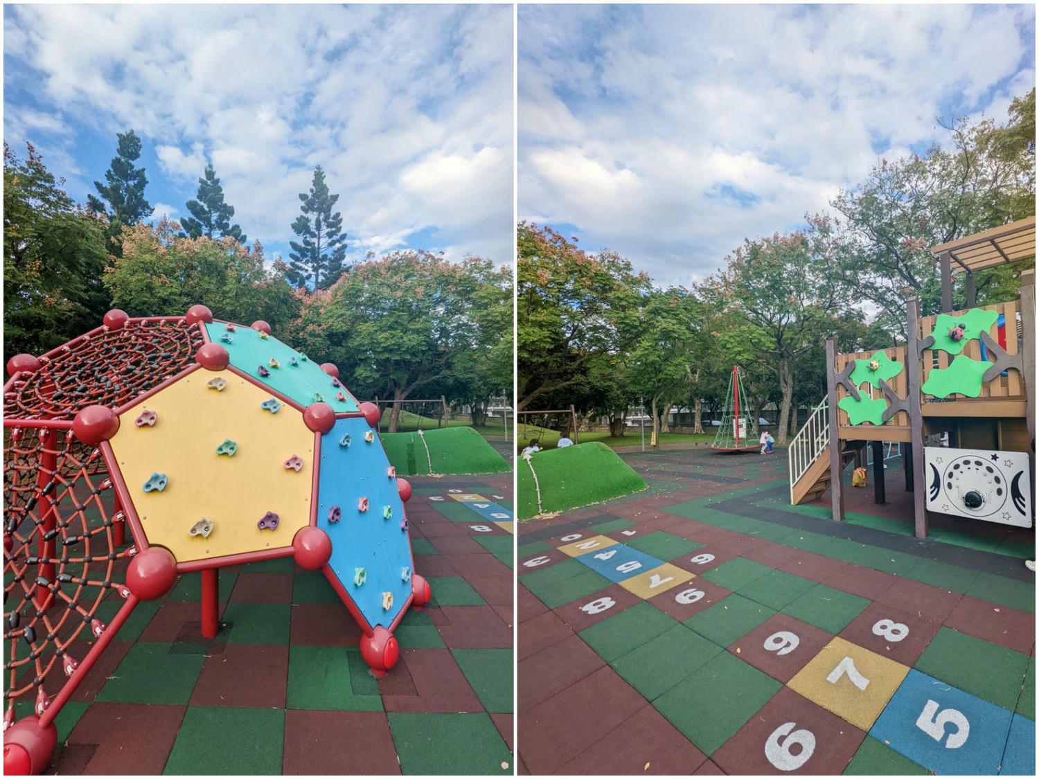 桃園大溪埔頂公園。 綠草山丘、台灣欒樹、落羽松、溜索、沙坑、遊具。