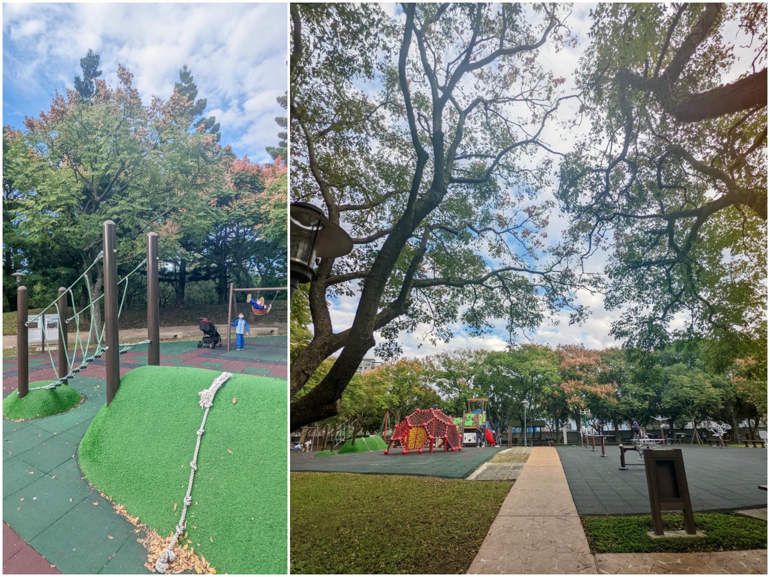 桃園大溪埔頂公園。 綠草山丘、台灣欒樹、落羽松、溜索、沙坑、遊具。
