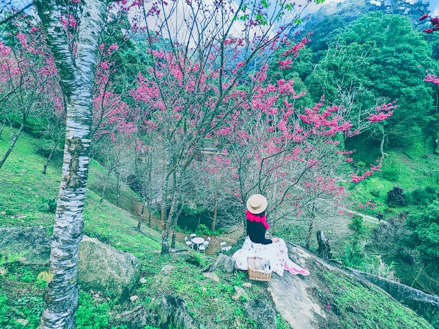 精選 桃園復興景點。雲霧飄渺的山區避暑勝地，享受好山好水與大自然的恩賜。