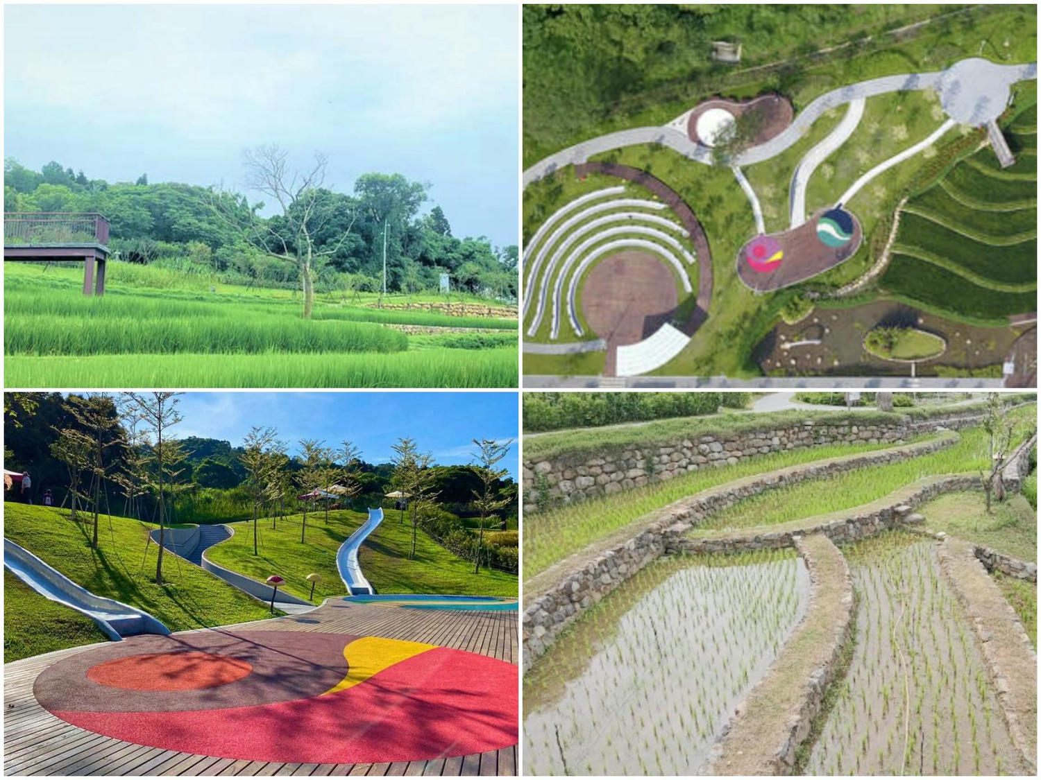 桃園 大有梯田公園。適合帶孩子放電的大型公園，森林挑戰區關卡型帶狀遊具超好玩
