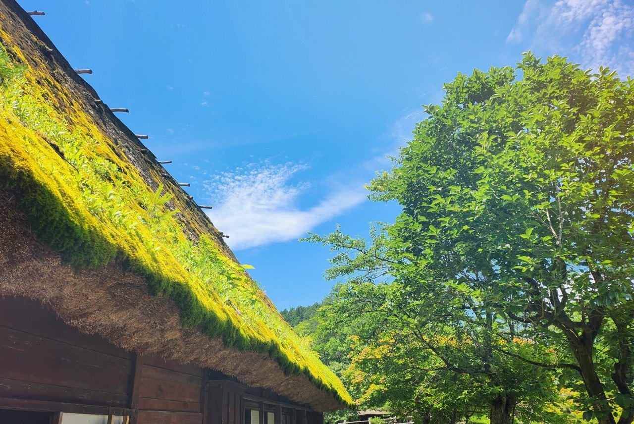 岐阜縣高山市景點 飛驒之里。高山飛驒民俗村 展示傳統合掌建築和生活方式的露天博物館。
