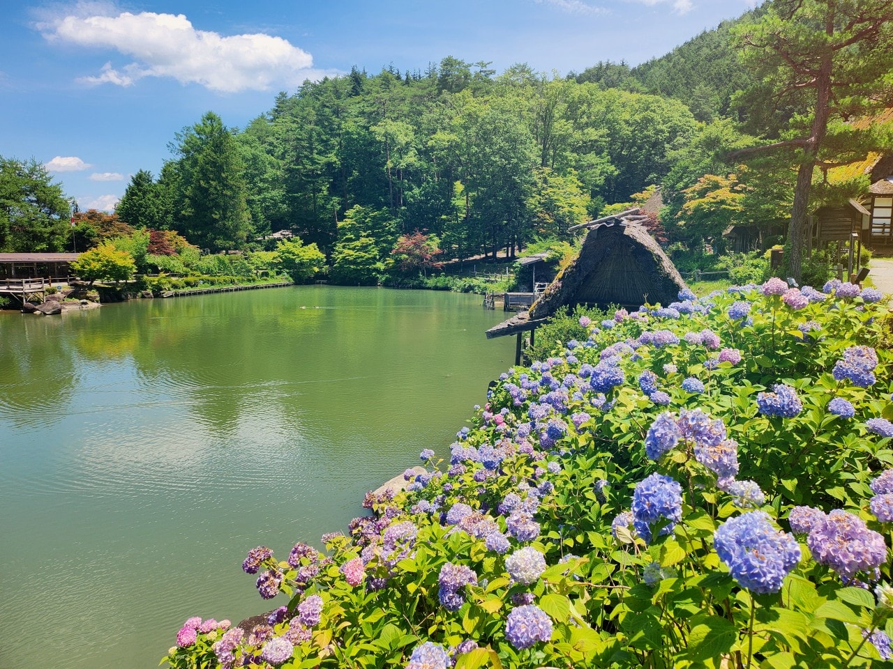 岐阜縣高山市景點 飛驒之里。高山飛驒民俗村 展示傳統合掌建築和生活方式的露天博物館。
