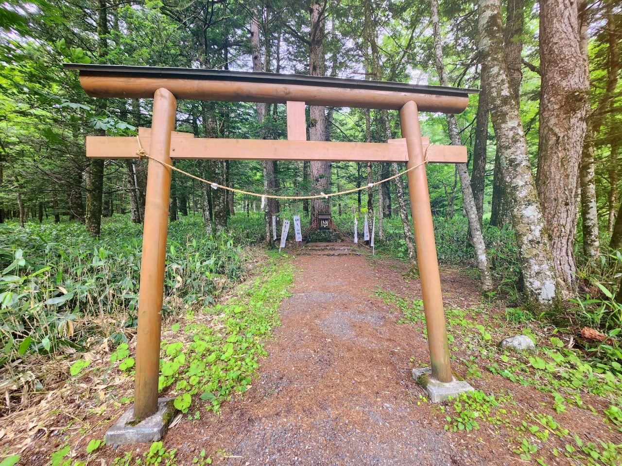日本長野縣 上高地 自駕旅行紀錄。拜訪北阿爾卑斯絕美神的故鄉，大正池到河童橋健行路線。