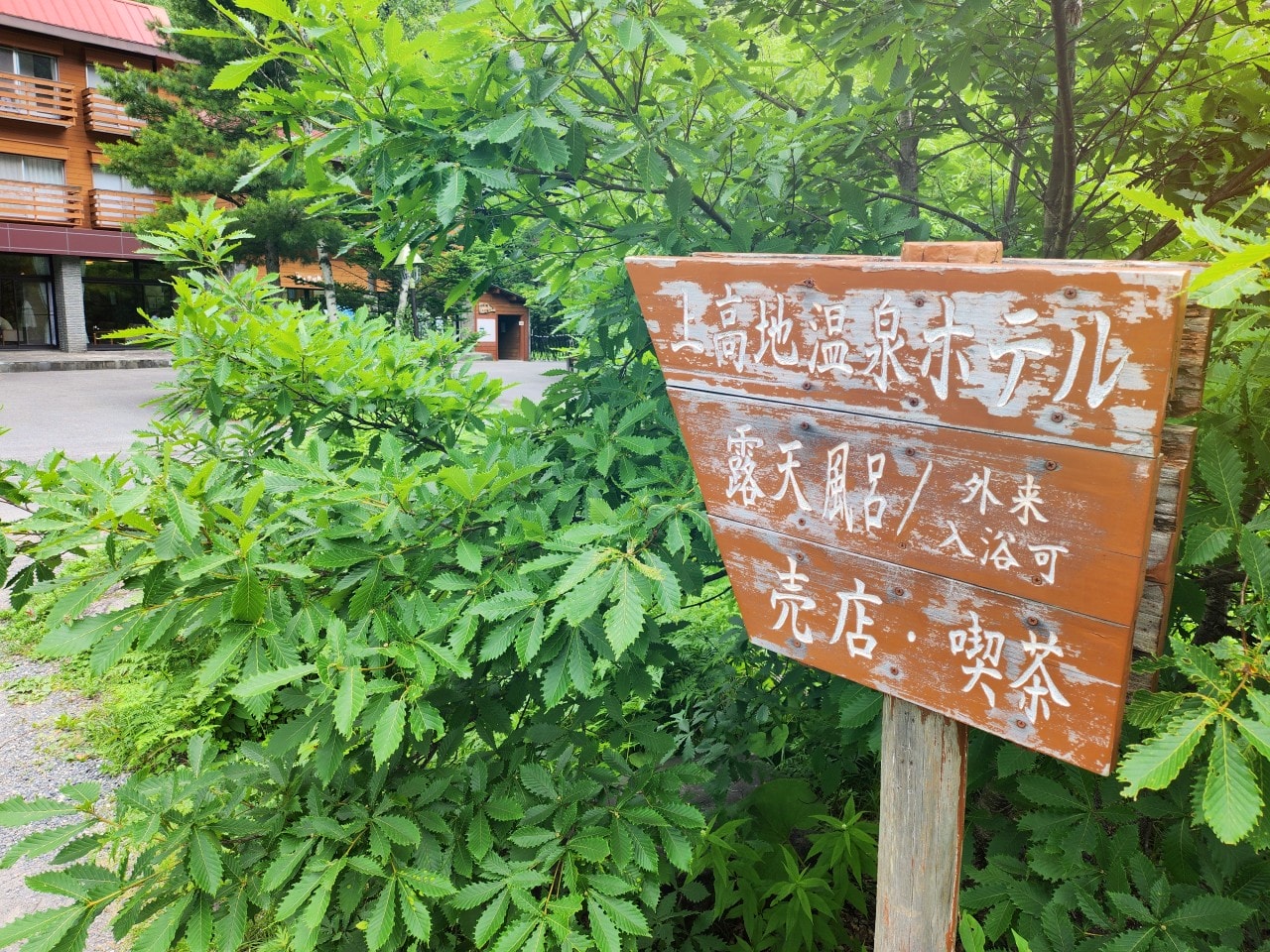 日本長野縣 上高地 自駕旅行紀錄。拜訪北阿爾卑斯絕美神的故鄉，大正池到河童橋健行路線。