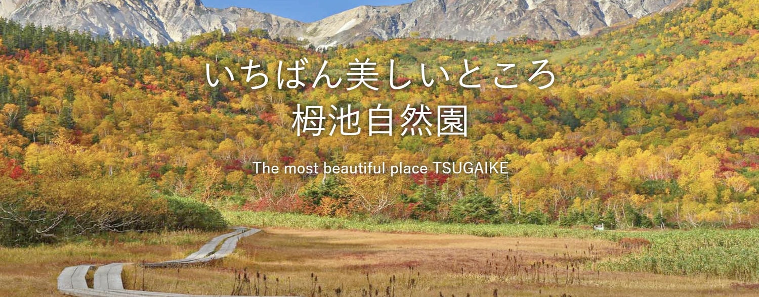 日本長野 白馬村夏天景點與戶外活動推薦。非雪季登山健行路線、親子旅行、高空繩索、登山車、各式體驗活動。