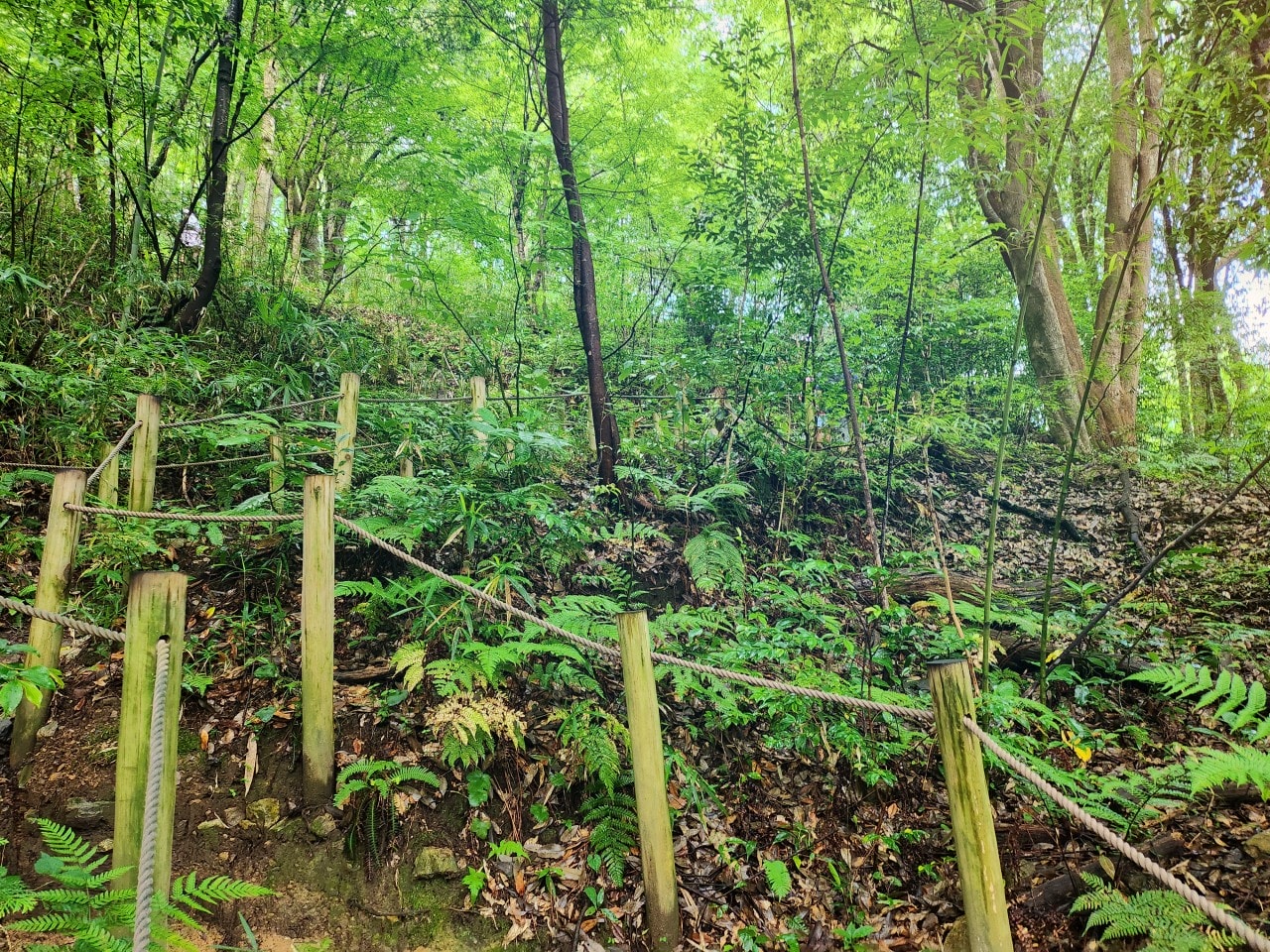 日本岐阜県 郡上八幡城。有天空之城的美稱，登上天守閣眺望魚形城下町與群山環繞的美景。