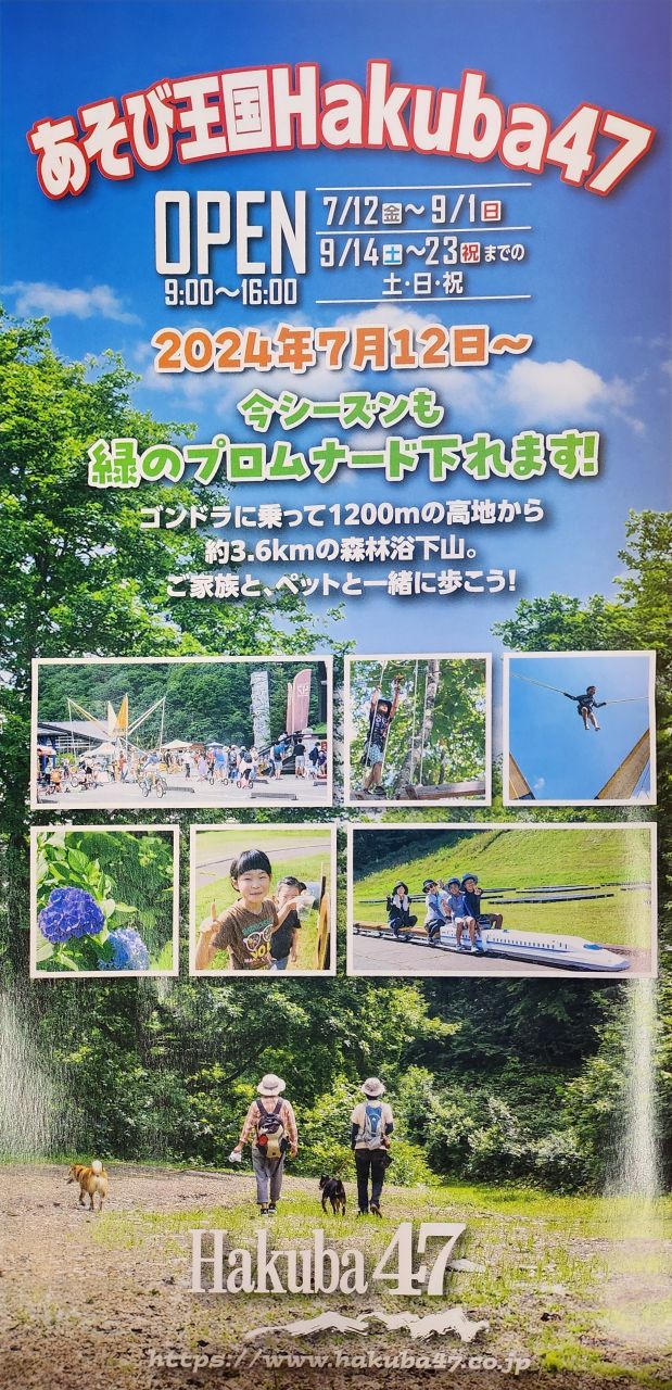 日本長野 白馬村夏天景點與戶外活動推薦。非雪季登山健行路線、親子旅行、高空繩索、登山車、各式體驗活動。