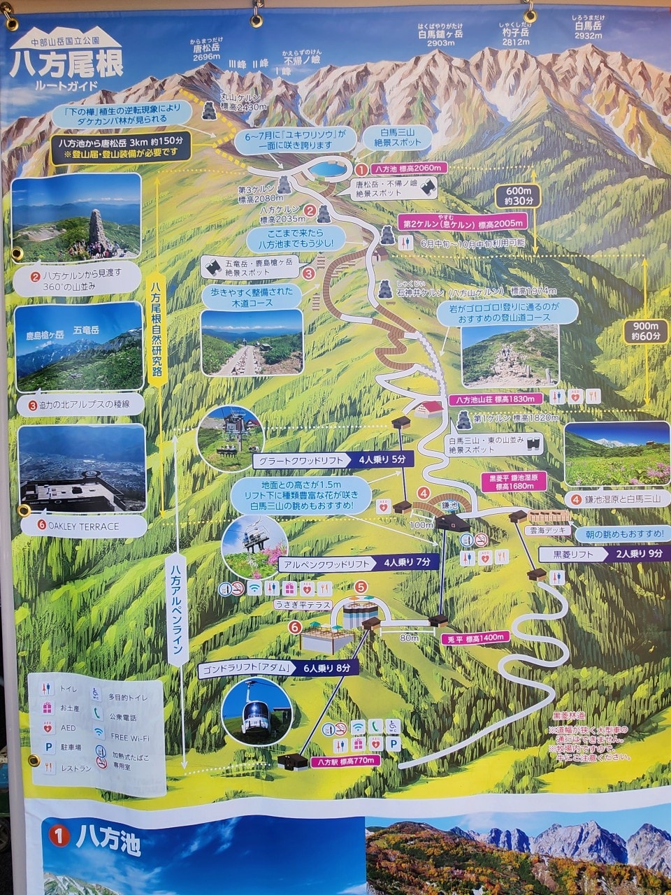 白馬八方尾根 Hakuba Happo-one。四季皆美，可以健行也可以輕鬆散步。還有隈研吾設計的最新頂級豪華露營設施。