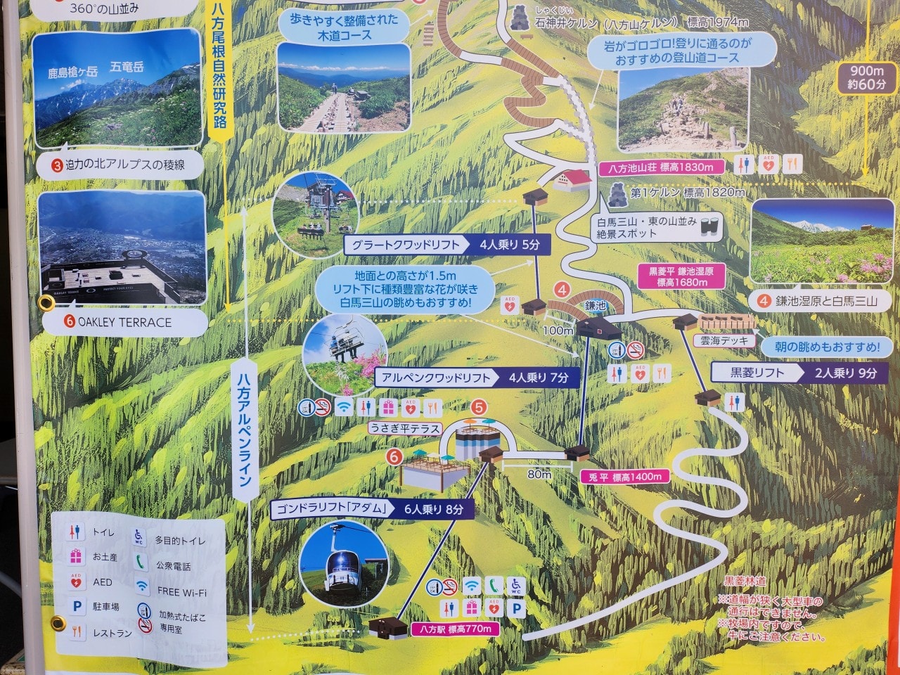 白馬八方尾根 Hakuba Happo-one。四季皆美，可以健行也可以輕鬆散步。還有隈研吾設計的最新頂級豪華露營設施。