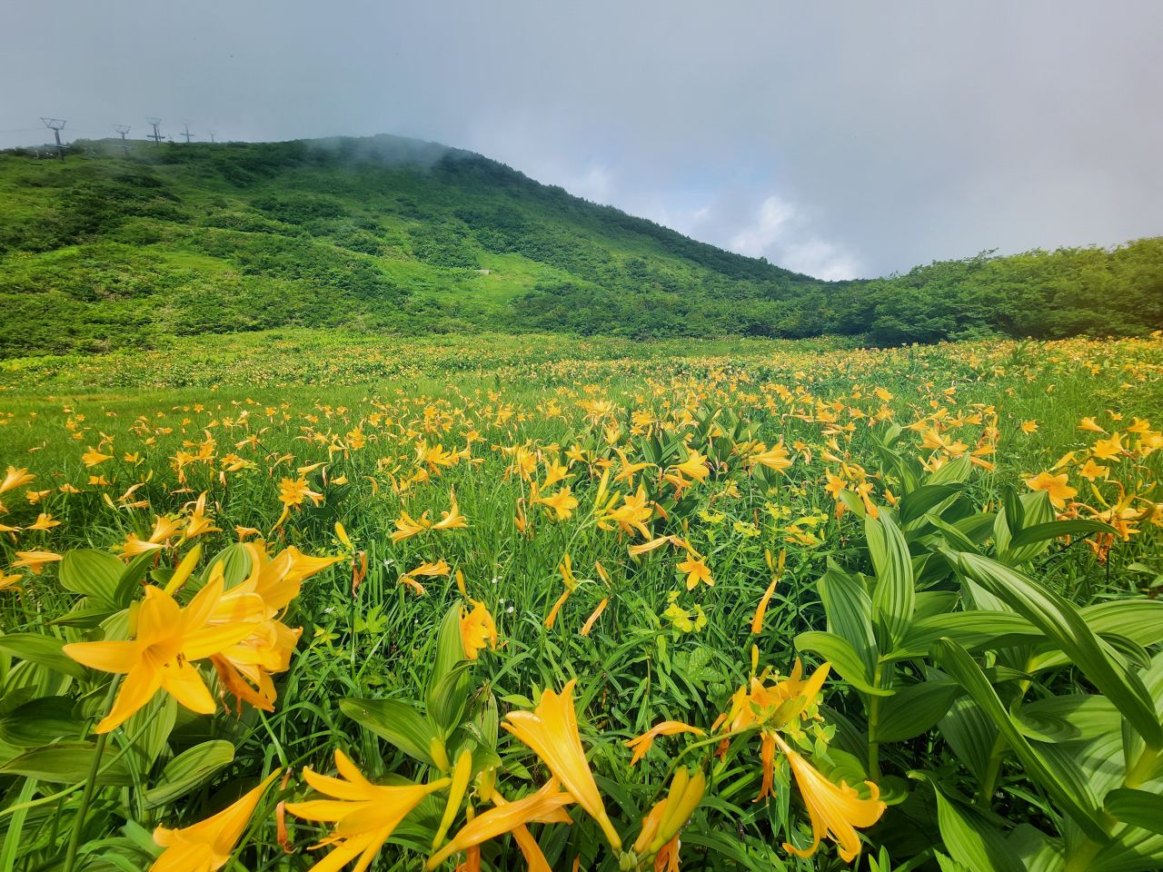 日本長野 白馬村夏天景點與戶外活動推薦。非雪季登山健行路線、親子旅行、高空繩索、登山車、各式體驗活動。