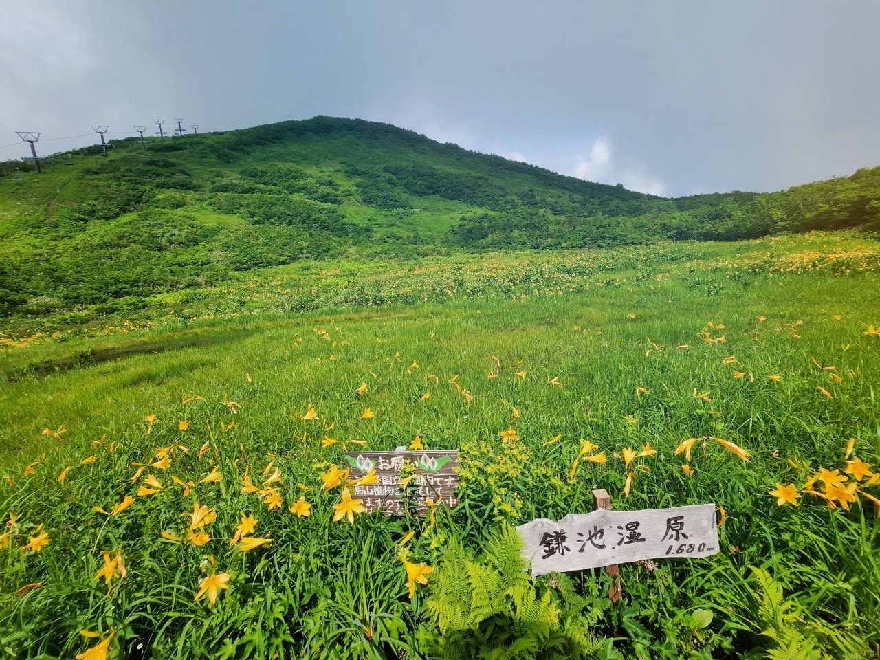 白馬八方尾根 Hakuba Happo-one。四季皆美，可以健行也可以輕鬆散步。還有隈研吾設計的最新頂級豪華露營設施。