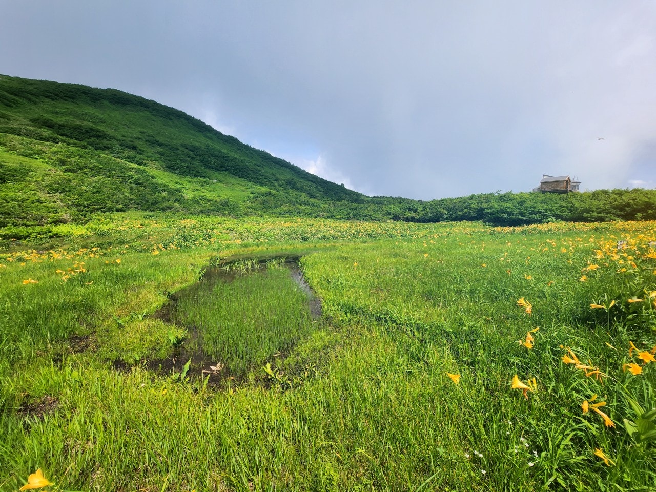 白馬八方尾根 Hakuba Happo-one。四季皆美，可以健行也可以輕鬆散步。還有隈研吾設計的最新頂級豪華露營設施。