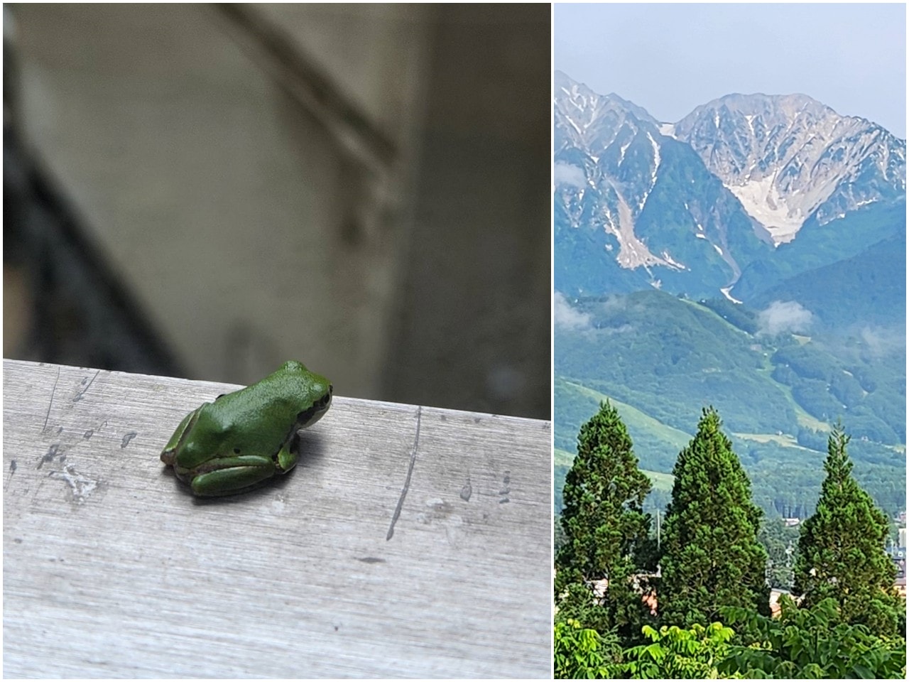 白馬 住宿 Hakuba Highland Hotel 白馬高地酒店。大廳、客室、餐廳和寢湯都可以看到漂亮的白馬連峰山景 - 第11張圖 白馬 住宿 Hakuba Highland Hotel 白馬高地酒店。大廳、客室、餐廳和寢湯都可以看到漂亮的白馬連峰山景
