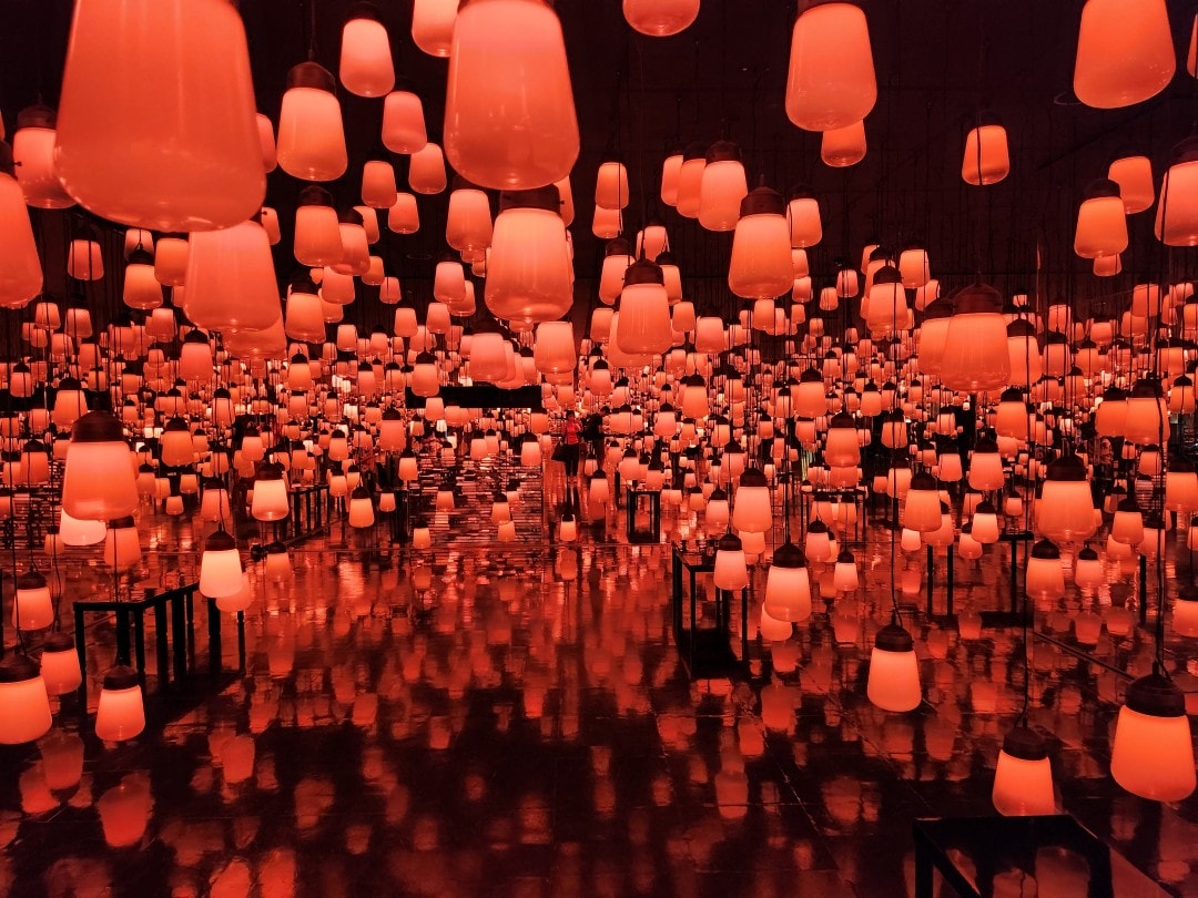 2025 Teamlab 神居住之森 九州武雄溫泉 御船山樂園  森林中夏秋夢幻光影展演