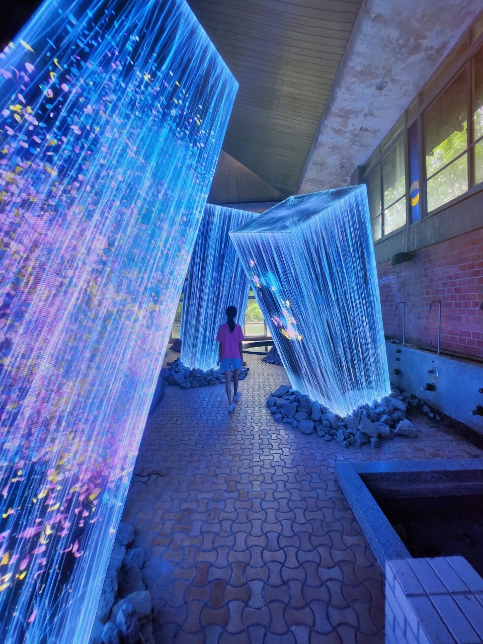 2025 Teamlab 神居住之森 九州武雄溫泉 御船山樂園  森林中夏秋夢幻光影展演