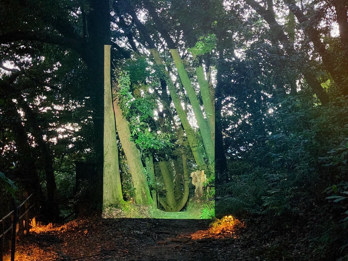 2025 Teamlab 神居住之森 九州武雄溫泉 御船山樂園  森林中夏秋夢幻光影展演