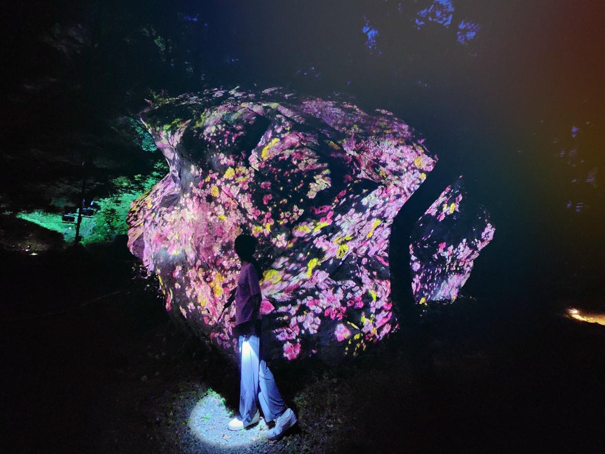 2025 Teamlab 神居住之森 九州武雄溫泉 御船山樂園  森林中夏秋夢幻光影展演