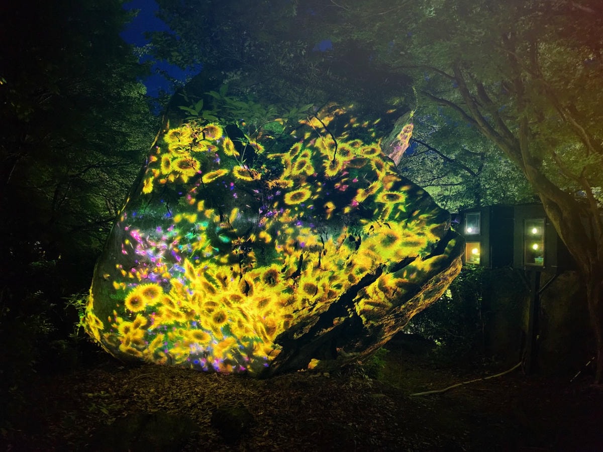 2025 Teamlab 神居住之森 九州武雄溫泉 御船山樂園  森林中夏秋夢幻光影展演